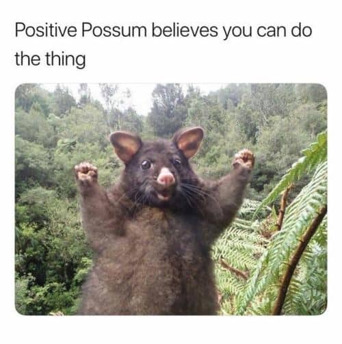 Meme: "Possum believes you can do the thing"